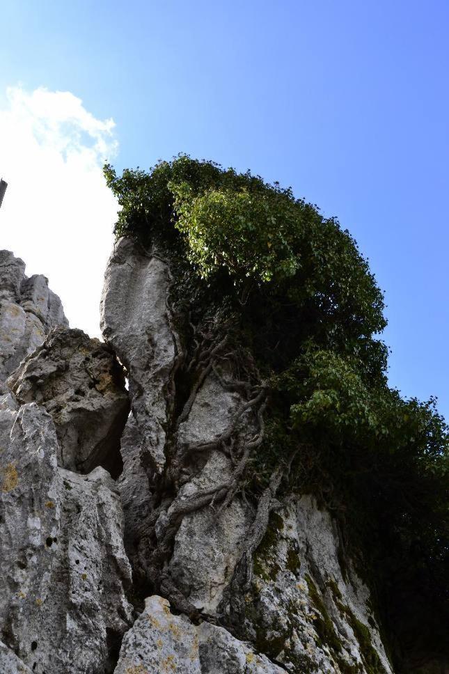 Kalliopi Hotel Kastéllion Dış mekan fotoğraf